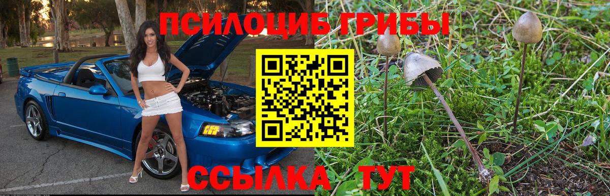 Галлюциногенные грибы Psilocybe  Вход с VPN  Алейск  где продают наркотики  Псилоцибиновые грибы ЛСД 