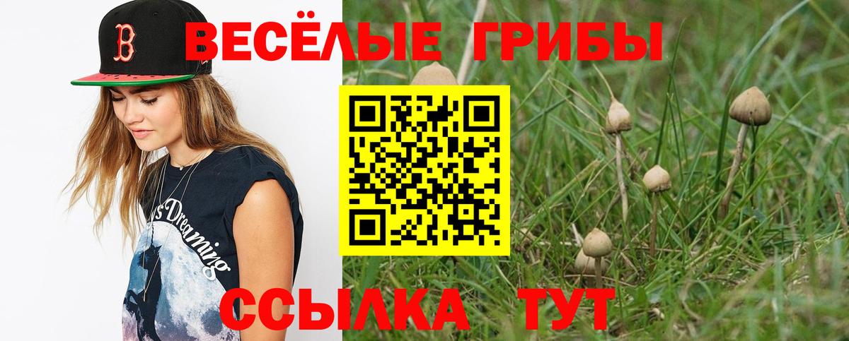 Псилоцибиновые грибы прущие грибы Алейск